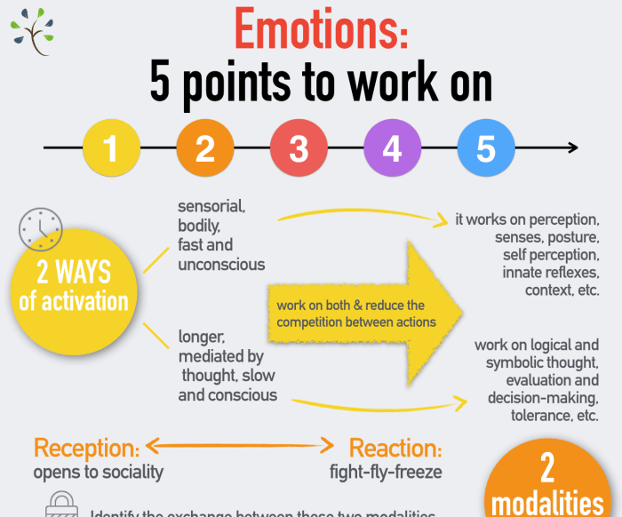 Emotions manage universal basic steps managing infographic